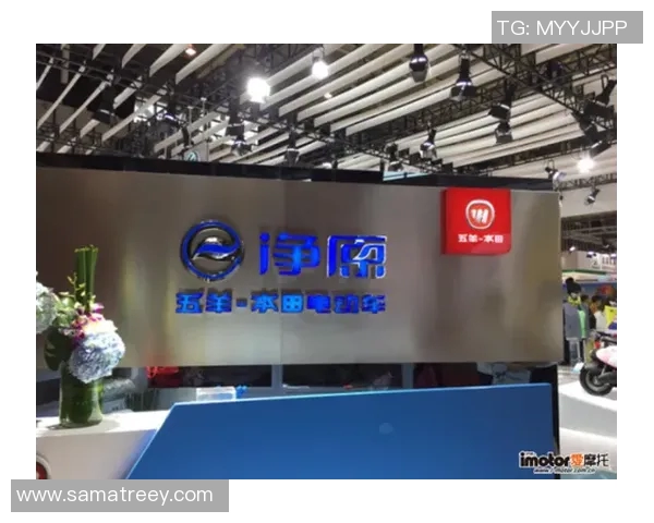 年轻化战略成功转型的典范案例分析与启示探讨 年轻化战略成功转型的典范案例分析与启示探讨