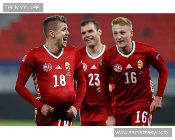 奥超维也纳快速积分分析及其对球队未来发展的影响探讨