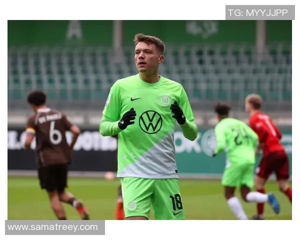 杜塞尔多夫主场连胜，沃尔夫斯堡难挡其势头