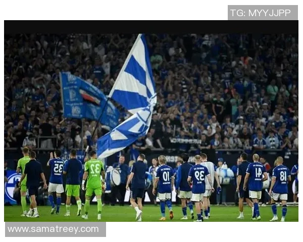 沙尔克04陷连败泥潭德甲保级成问题